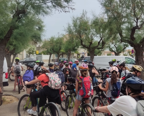 PHOTO-2023-06-21-08-42-04