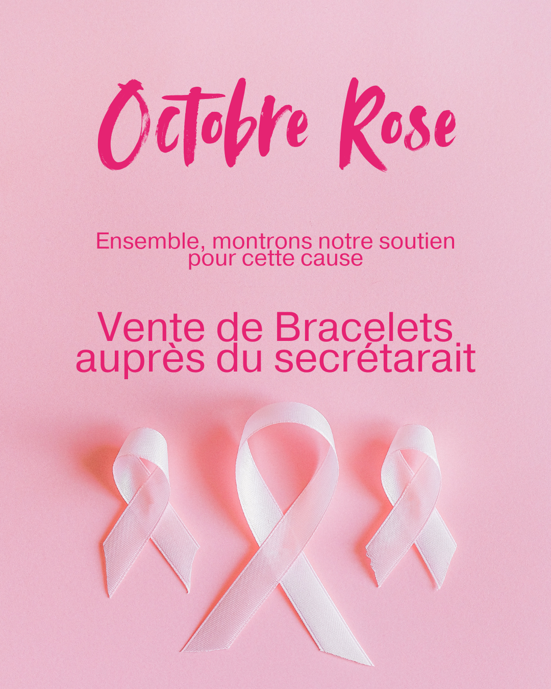 octobre rose2