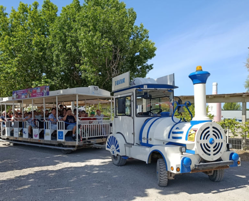 camargue12