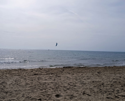 camargue7