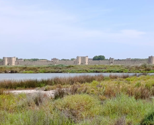 camargue8